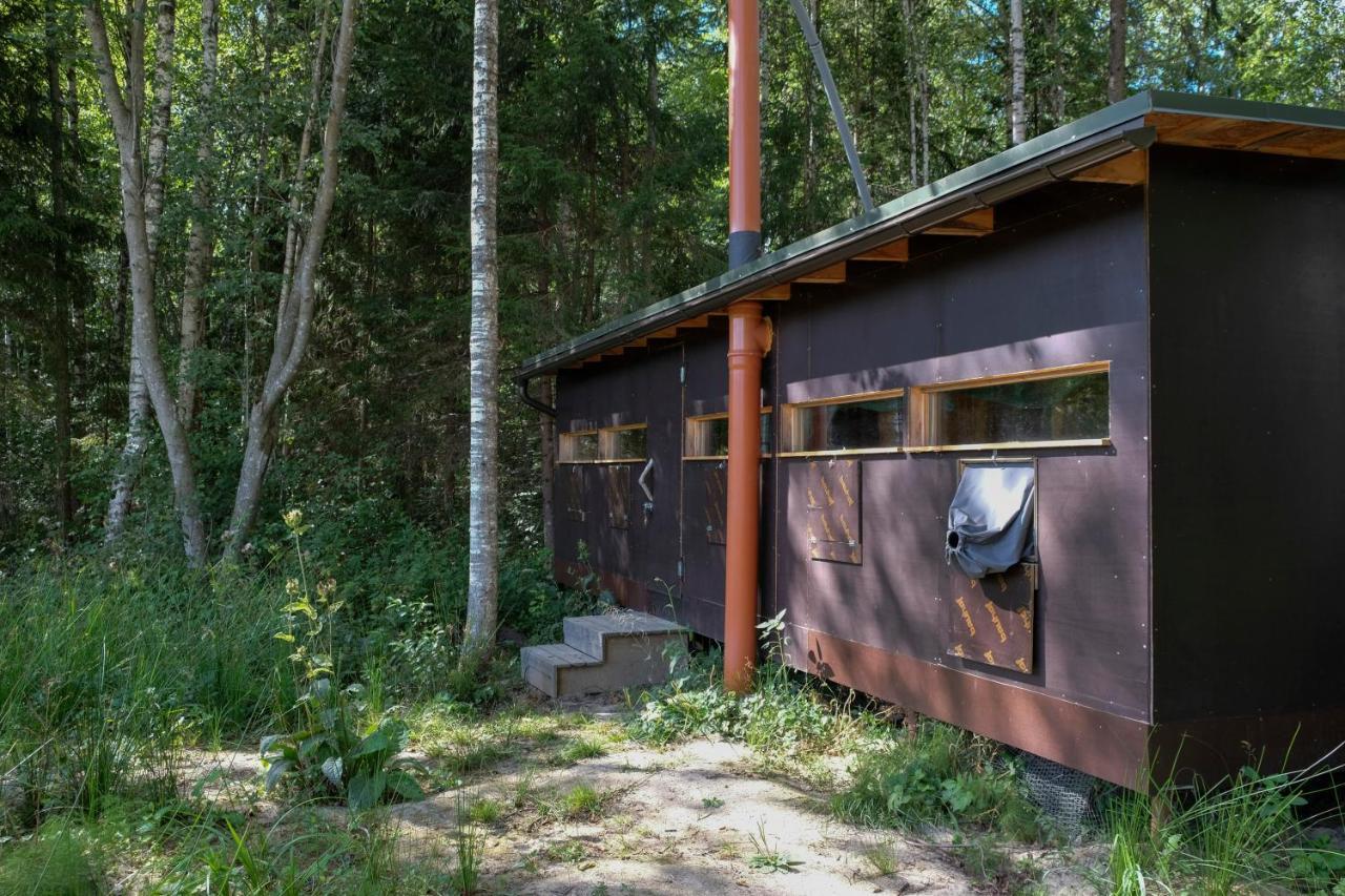 Bear Watching Hide Of Alutaguse Hotel Palasi Exterior photo